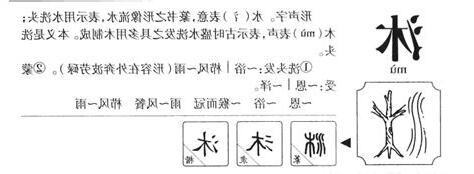 沐 五行